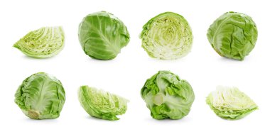 Beyaz arka planda taze lahana, kolaj