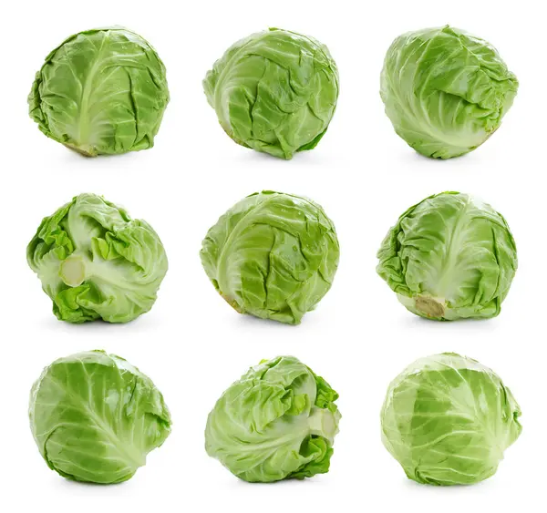 Beyaz arka planda taze lahana, kolaj