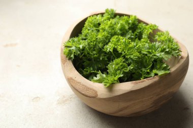 Işık masasında taze maydanoz, yakın plan.