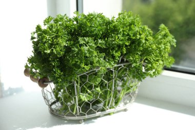 Pencere pervazında taze maydanoz, yakın plan.