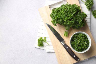 Taze maydanoz ve bıçak ışık masasında, düz yerde. Metin için boşluk