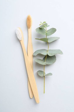 Bambu diş fırçaları ve okaliptüs dalları beyaz arka planda, düz yerde.