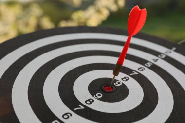 Hedef alınıyor. Dart tahtası ve açık havada ok, yakın plan.