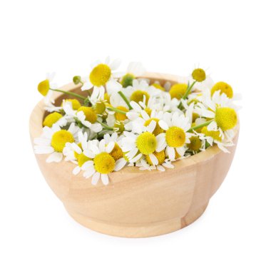 Güzel papatya çiçekleri beyaz kasede izole edilmiş.