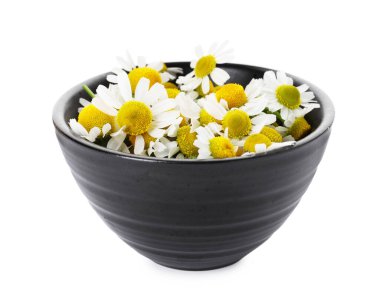 Güzel papatya çiçekleri beyaz kasede izole edilmiş.