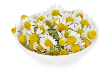 Güzel papatya çiçekleri beyaz kasede izole edilmiş.