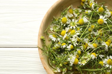 Beyaz ahşap masada, kasede taze papatya çiçekleri, üst manzara. Metin için boşluk