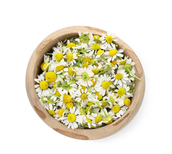 Güzel papatya çiçekleri beyaz kasede izole, üst manzara