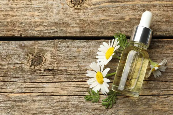 Ahşap masanın üzerinde bir şişe esaslı yağ ve papatya çiçeği, düzlük. Metin için boşluk