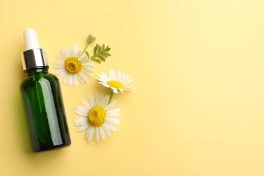 Sarı arka planda bir şişe esaslı yağ ve papatya çiçeği. Metin için boşluk
