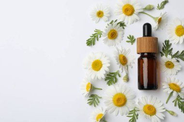 Beyaz arka planda bir şişe esaslı yağ ve papatya çiçeği. Metin için boşluk