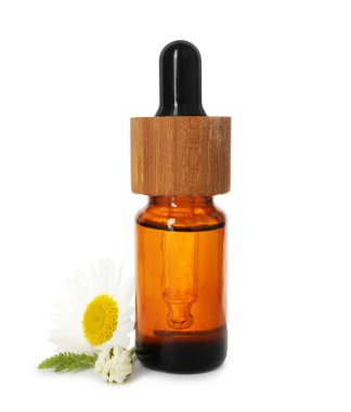 Bir şişe gerekli yağ ve papatya çiçekleri beyaza izole edilmiş.