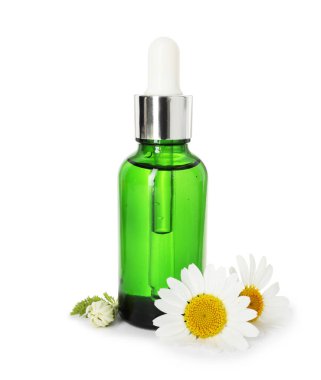 Bir şişe gerekli yağ ve papatya çiçekleri beyaza izole edilmiş.