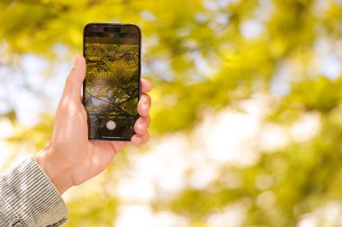Açık havada akıllı telefonda bitki tanıma uygulaması kullanan bir adam, yakın plan. Metin için boşluk