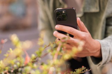 Açık havada akıllı telefonda bitki tanıma uygulaması kullanan bir adam, yakın plan. Metin için boşluk