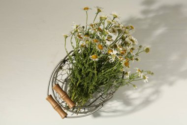 Güzel papatya çiçekleri metal sepetin içinde beyaz masada, üst manzara