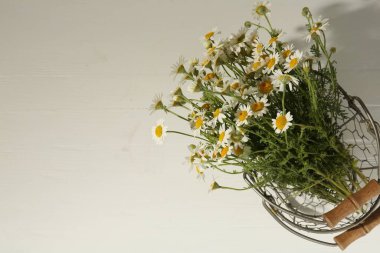 Beyaz masadaki metal sepetin içinde güzel papatya çiçekleri, üst manzara. Metin için boşluk