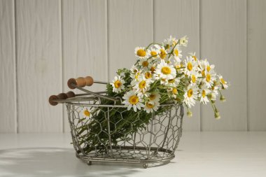 Güzel papatya çiçekleri beyaz masada metal sepetin içinde