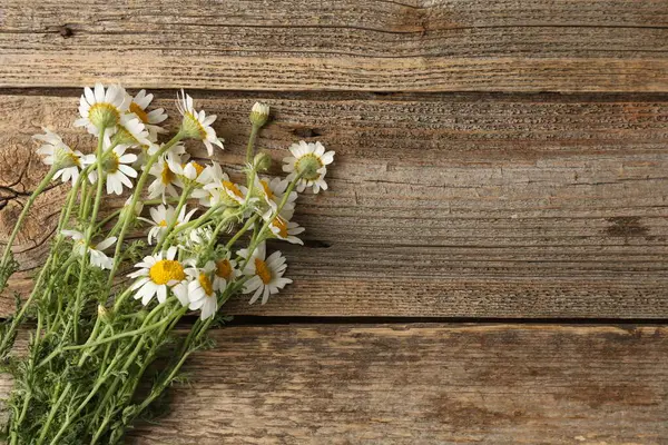 Tahta masadaki papatya çiçekleri düzdü. Metin için boşluk