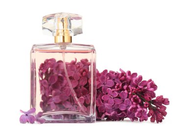 Bir şişe lüks parfüm ve beyaza ayrılmış leylak çiçekleri.