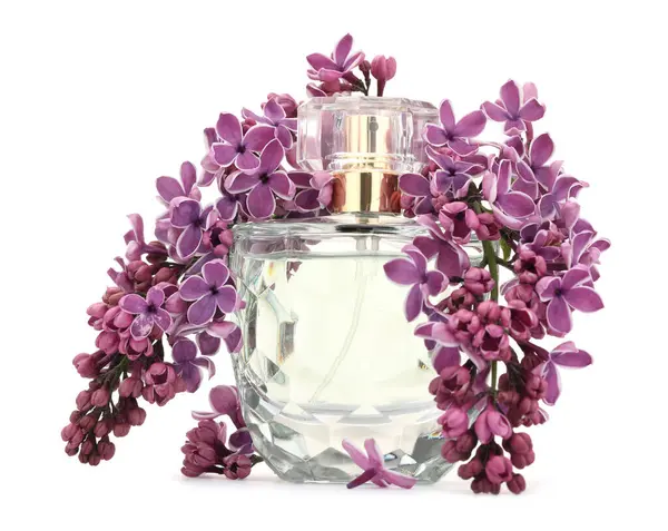 Bir şişe lüks parfüm ve beyaza ayrılmış leylak çiçekleri.