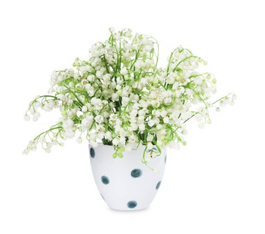 Bir buket güzel zambak vadi çiçekleri bembeyaz