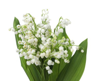 Bir buket güzel zambak vadi çiçekleri bembeyaz