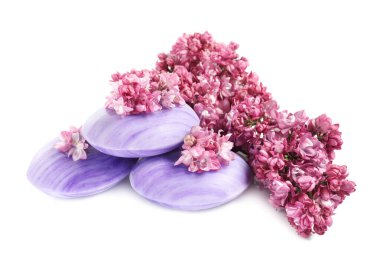 Sabun çubukları ve leylak çiçekleri izole edilmiş beyaz