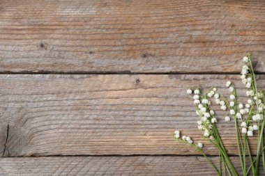 Ahşap arka planda, vadideki güzel zambak çiçekleri, düzlük. Metin için boşluk