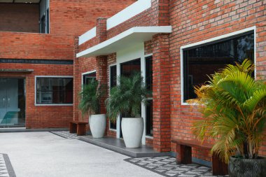 Güzel palmiye ağaçları ve tuğla binanın yanındaki ahşap banklar.