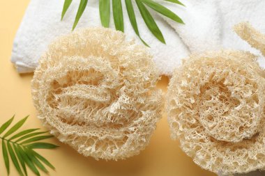 Bej arka planda doğal lif süngerleri, havlu ve yeşil dallar.