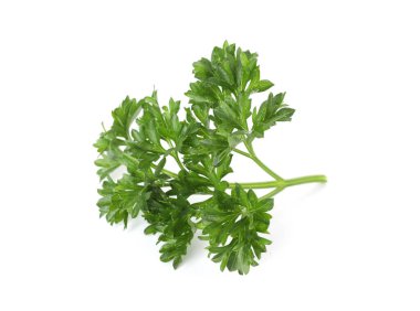 Beyaz maydanozlu taze maydanoz.