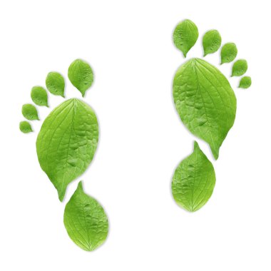 Beyaz arka planda yeşil yapraklardan yapılmış insan ayak izleri. Çevre bakımı, ekoloji koruması, CO2 emisyonunun azaltılması