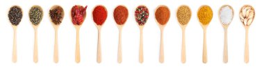 Beyaz arka planda tahta kaşıklardaki farklı aromatik baharatlar, set. Üst görünüm