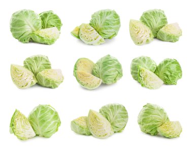 Beyaz arka planda taze lahana, kolaj