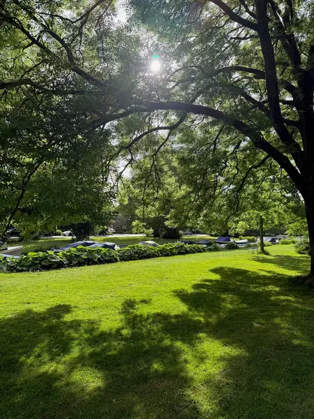 Güzel yeşil ağaçlar ve şehir kanalı Açık havada demirli teknelerle