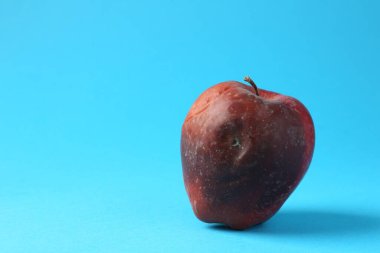 Açık mavi arka planda bir çürük kırmızı elma. Metin için boşluk