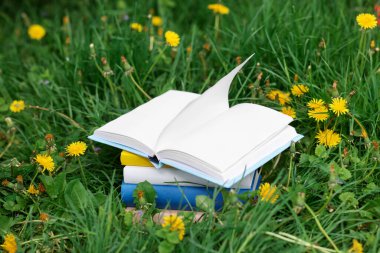 Yeşil çimenler üzerine farklı istiflenmiş kitaplar.