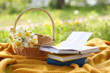 Yığınlanmış kitaplar, battaniye ve hasır sepet yeşil çimlerin üzerinde nergis çiçekleri