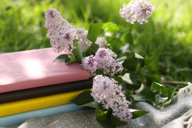 Yığınla kitap, leylak çiçekleri ve yeşil çimlerin üzerinde battaniye, yakın plan.