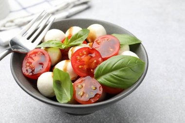 Mozarella, domates ve fesleğen ile nefis bir salata, yakın plan.