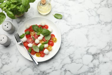 Beyaz mermer masada servis edilen mozzarella, domates ve fesleğenli lezzetli bir salata. Metin için boşluk