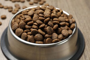 Beslenme kabında kurutulmuş hayvan mamaları, yakın plan.