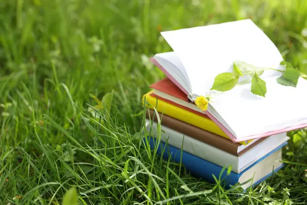 Yeşil çimenler üzerine kitap istifledim, yakın plan. Metin için boşluk