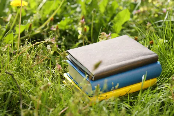 Yeşil çimenler üzerine farklı istiflenmiş kitaplar.