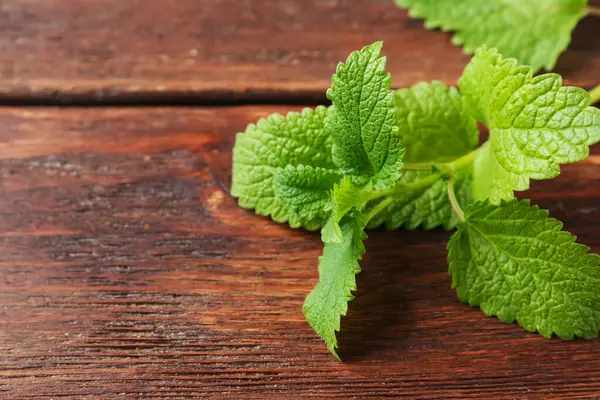 Tahta masadaki taze limon merhemi yaprakları, yakın plan. Metin için boşluk