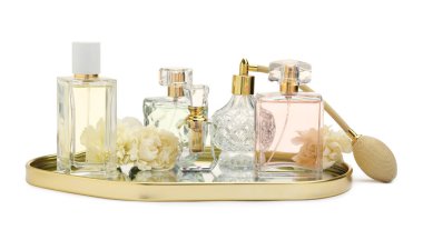 Birçok farklı parfüm şişeleri ve çiçekler beyaz üzerine izole edilmiş.