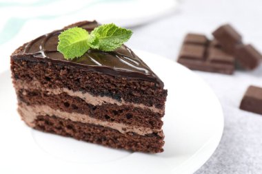 Bir parça lezzetli çikolatalı pasta, üzerinde nane şekeri, yakın plan.