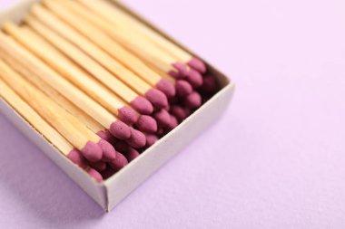 Menekşe arkaplanındaki açık kutuda eşleşir, yakın plan