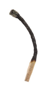 Yanmış bir kibrit beyazda izole edilmiş. Yangın başlatmak için araç